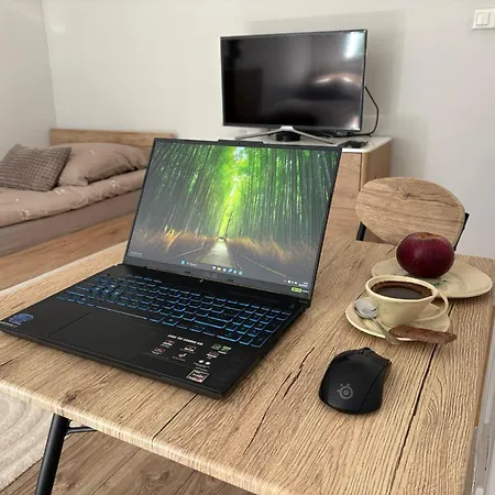 Διαμέρισμα Lumen - 2km Prezero Arena Γκλίβιτσε